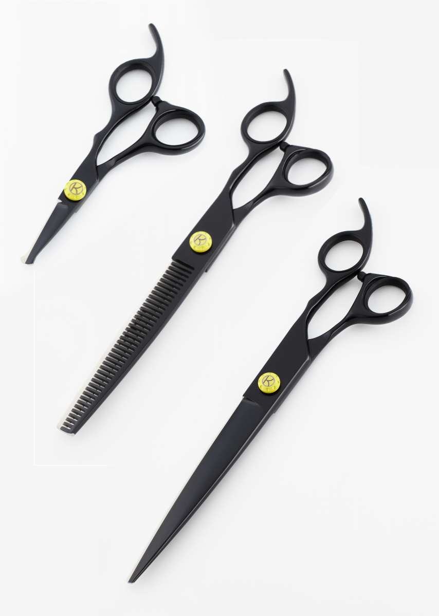 Kanpeki Blackbird Scissor Set 1